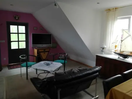 Cozy apartment overlooking the greenery on the Lindenhof