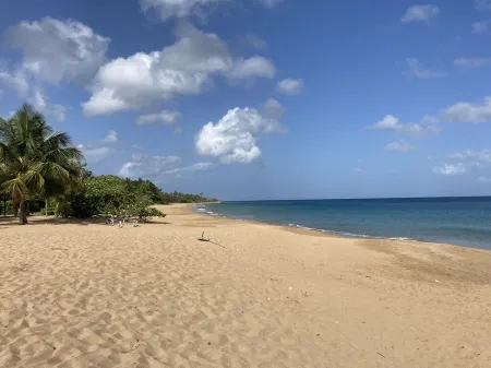 Coco-mango Apt. B, Studio Cosy, vue mer à 250 m de la Plage de la Perle