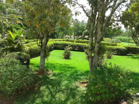 Very green place to relax by the pool