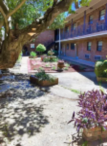 Comfortable and Quiet Condo in Perfect LSU/Downtown Area