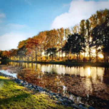 Stadtherz Lingen - Mitten in der City und Doch nah an der Naturz