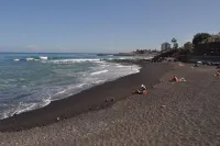 Last minute wifi free - Heated pool - Terrace apartment directly on the beach Botanical Garden 주변 호텔