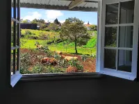 Villa des O - Near volcano