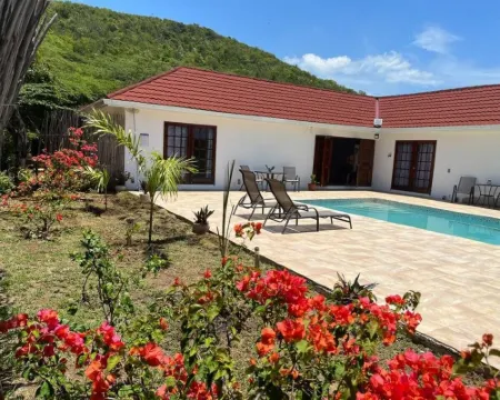 Hidden Treasure, Ocean View Villa w/ private pool. Hotels in Treasure Beach
