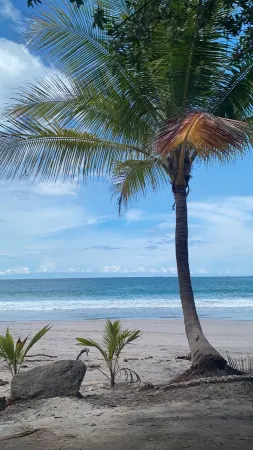 Spectacular, Gated, Oceanfront Luxury Villa w/ Pool - Playa Flamingo, Costa Rica