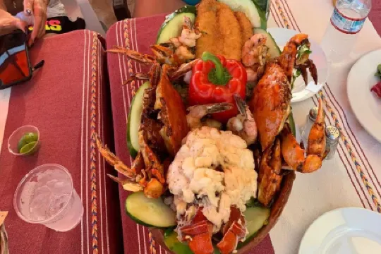 Marina View Open Studio Ste on Marina 645SF walk everywhre! King Bd Rooftop Pool