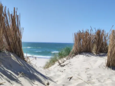 Luxury chalet "Strandperle, "on a 5 star site, by the sea