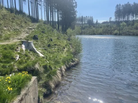 Comfortable, modern, completely renovated vacation apartment with balcony, WLAN available