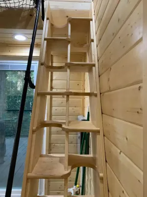 Yeti's Tree House: Where Dreams Come True