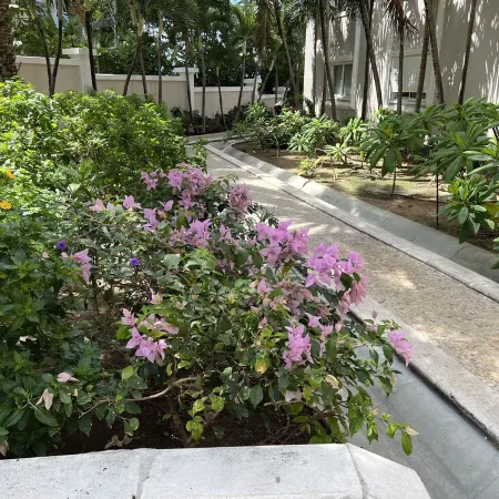 Cupecoy ocean view 2BR condo - pools/private beach