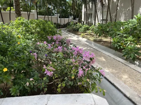 Cupecoy ocean view 2BR condo - pools/private beach