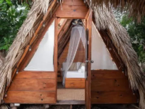 Mapache Hostel Hoteles en Holbox