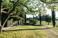 Wine Tourism - Quinta do Ameal