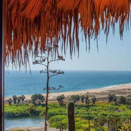 Los Colibris Casitas