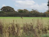 Seasalt Haven Hotel in zona Nunnington Farm Camping site West Wittering. PO20 8LZ