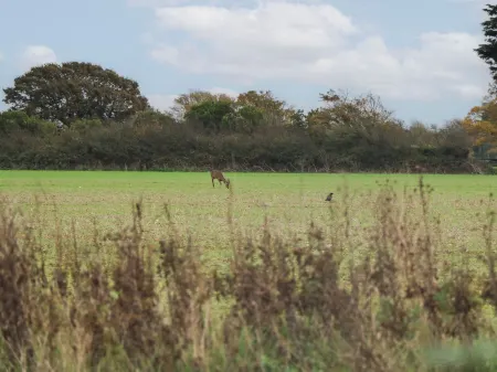 Seasalt Haven Отели рядом с достопримечательностью «Университет Чичестер»