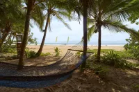 Playa 506 Beachfront Hostel - Beach