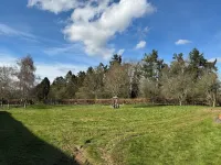 Barn Cottage - Homestays