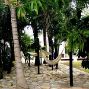 บิซา เอ็กซ์เพรส