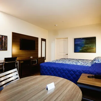 Palace Inn Blue Hwy 6 & Westpark Отели рядом с достопримечательностью «Торговый центр "Уэст-Оукс"»