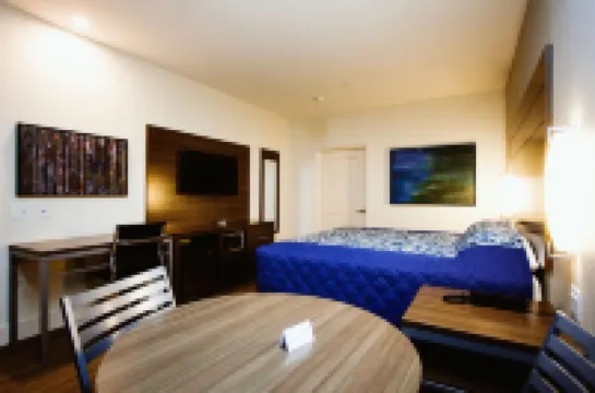 Palace Inn Westpark Hotels near George Bush Park