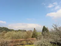 Gilfachwydd Hotel di Llangelynin