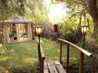 Organica Lodge Spa Hotels in Vicuna