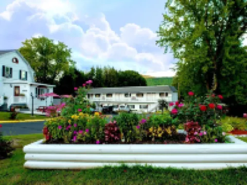 Willows Motel Hotels in Williamstown