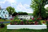 Willows Motel Hotels in Williamstown