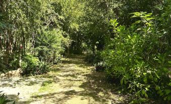 Glamping Bunga Lotus