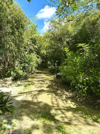 Glamping Bunga Lotus