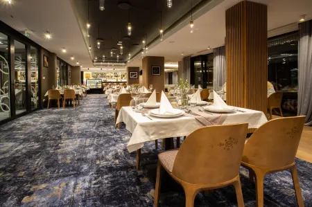 Hotel Beskid Balneo Medical Resort & Spa Отели в г. Nowosadecki