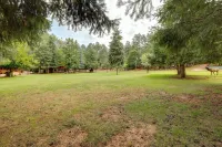 Cozy Cabin on 1 Acre in Premier Pine Neighborhood - Homestays