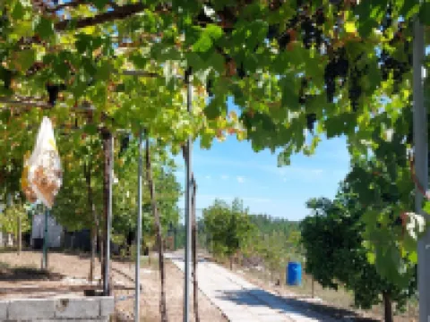 Quinta Penedo Das Antas Hoteles en Sertã