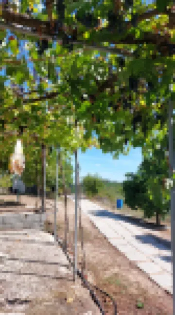 Quinta Penedo Das Antas