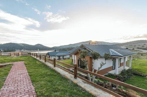 Tolstoy'un Bisikleti Otel