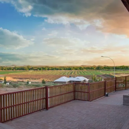 Kalahari Lion's Rest