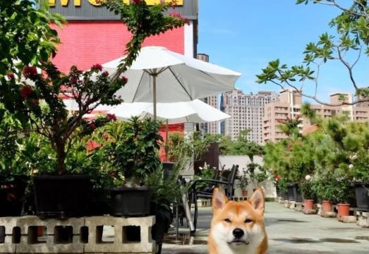 호텔 욕실 시설