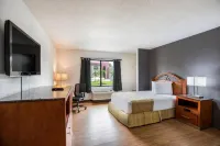 OYO Hotel Orlando Airport - 2-Star