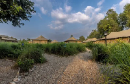 Aalia Jungle Retreat and Spa, Bandarjudh, Haridwar - Araiya Anthology