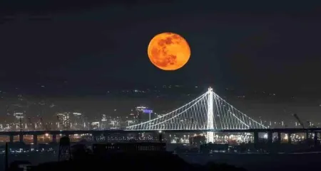 New Remodeled Studio in Oakland's Dimond District Отели рядом с достопримечательностью «Чилдренс Фэриленд»