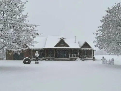 Viola River Lodge