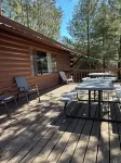 3-bedroom lake front cabin on Chippewa Flowage -Dun Rovin Road - Hayward, WI - Chalets