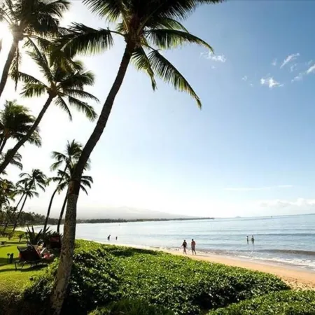 Big Ocean View from Your Sugar Beach Retreat -King Bed, Central AC, WiFi  #208