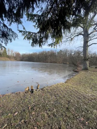 Modern Urban Studio Apartment S-bahn 27qm for 6 Near Mercedes Benz Sindelfingen