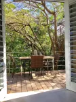 2 Bedroom 1 1/2 Bath Charming In Town Apartment with Great Jungle View Deck!