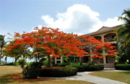 Gorgeous Beach front 2 bed 2.5 bath condo "Serenity by the Sea"