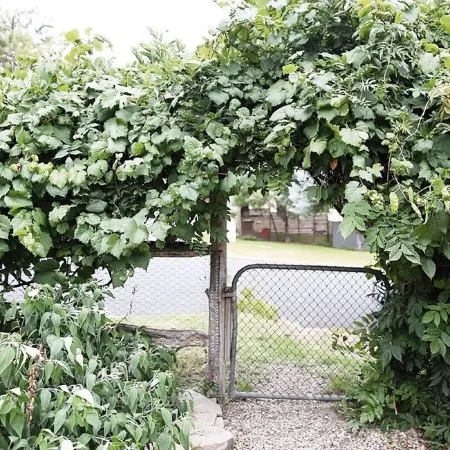 Lotte's Hjem | A 150 year old cottage in the heart of Pambula