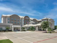 Hilton Garden Inn Dallas/Arlington Hotels in Arlington