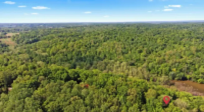 Private Treehouse getaway on Lake Barkley.  Luxury in the trees!